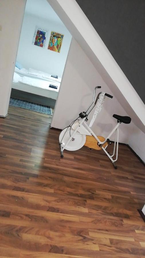 Apartman Romy Pančevo Стая снимка